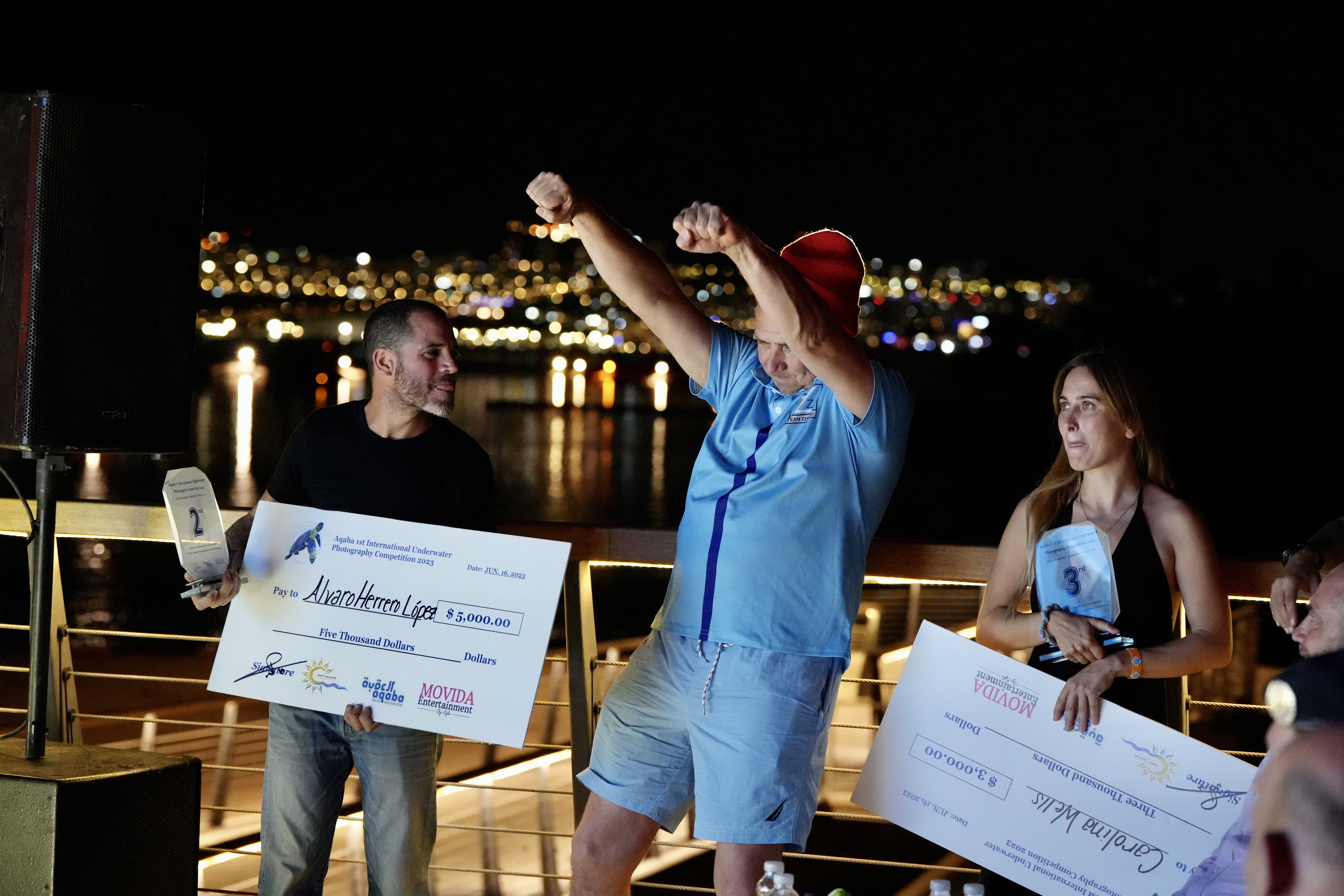 Viola and Composition